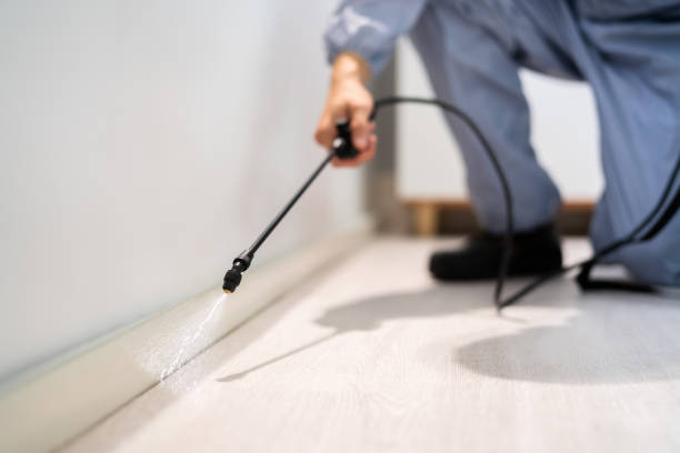 Bed Bug Pre-Treatment Preparation Assessment in Mount Rainier