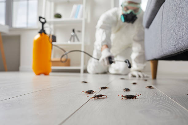 Post-Treatment Bed Bug Interceptor Monitoring in Mount Rainier